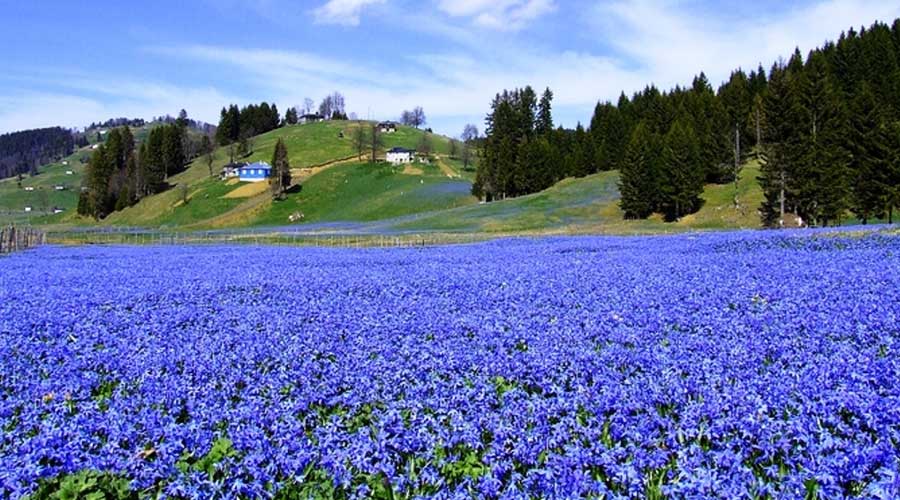Kadıralak (MOR YAYLA) Turu