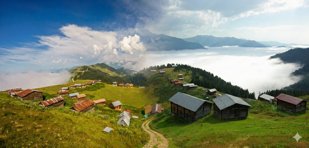 Günübirlik Pokut ve Sal Yayla Turu - Rize Trabzon Çıkışlı | En Popüler Yayla